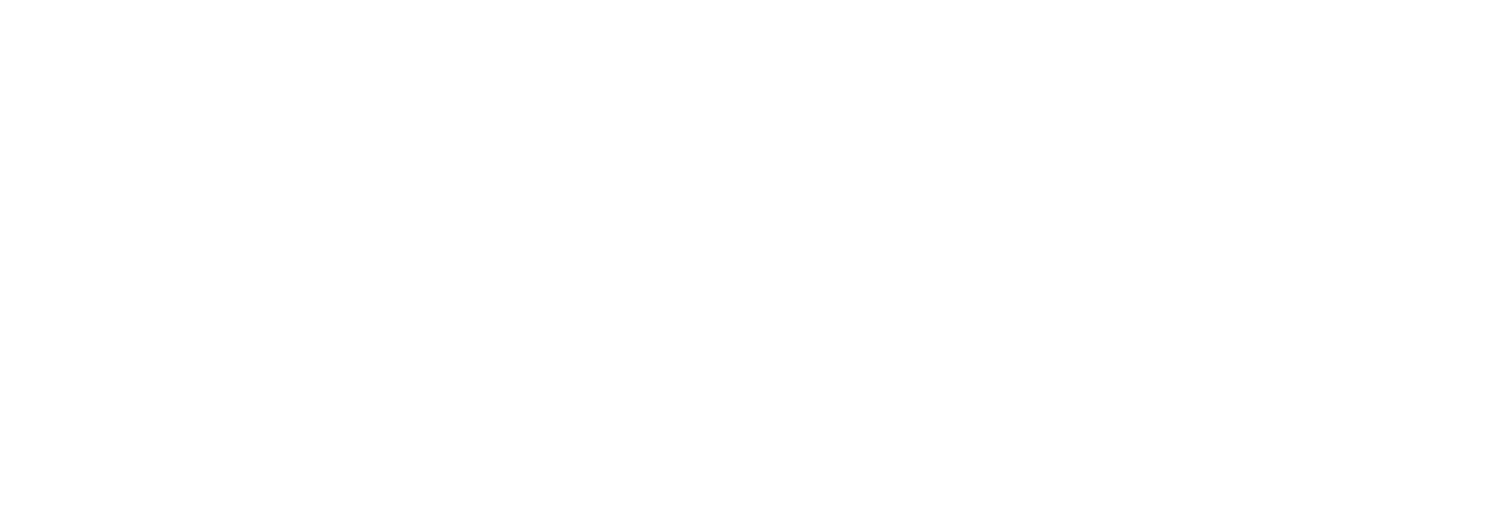 DutchE IT Services